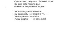 Djungli-10