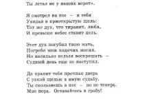 Djungli-18