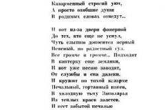 Nochnaya-trevoga-12