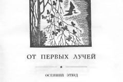 Nochnaya-trevoga-49