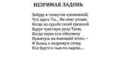 I_novy_svet-284